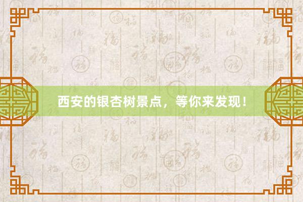 西安的银杏树景点，等你来发现！