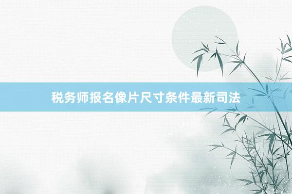 税务师报名像片尺寸条件最新司法