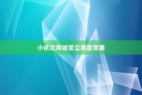小依次商城竖立用度泄漏