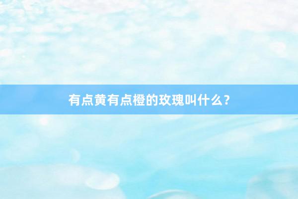 有点黄有点橙的玫瑰叫什么？